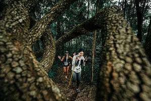 BIB: 
                            <button type="button" onclick="openModal(25673999)" class="btn btn-primary btn-sm float-right btn-popup" data-toggle="modal" data-target=".modal-high-quality">
                        <i class="fas fa-shopping-cart"></i> Add to Cart
                    </button>
                                            <button type="button" onclick="isThisMe(25673999, true)" class="btn btn-success btn-sm float-right btn-popup btn-isme hidden" data-toggle="tooltip" data-placement="bottom" title="นี่คือรูปของคุณใช่ไหม คลิกที่นี่เพื่อเอาเข้าอัลบั้ม">
                        <i class="fas fa-plus"></i> Add to album
                    </button>
                    <button type="button" onclick="isThisMe(25673999, false)" class="btn btn-warning btn-sm float-right btn-popup btn-isnotme hidden">
                        <i class="fas fa-ban"></i> Remove from album
                    </button>